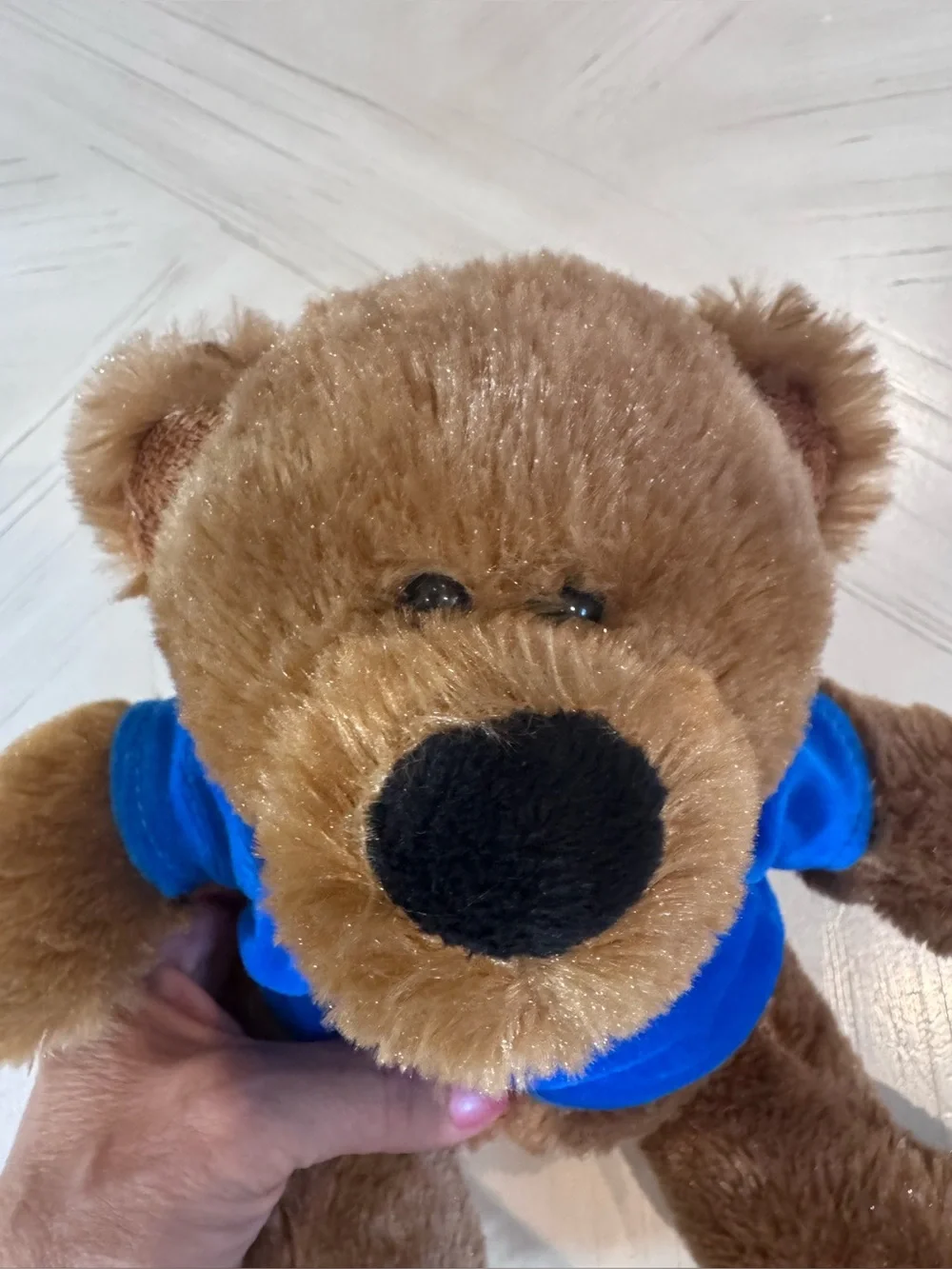 New York Knicks NBA Finals Champs Traditional Plush Bear – Royal Blue – Like New